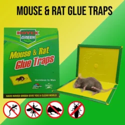 Green Killer Kill Mouse Rat Cockroach Glue Board Trap