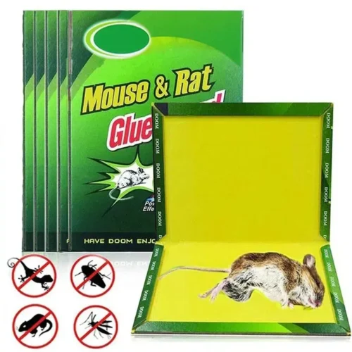 Green Killer Kill Mouse Rat Cockroach Glue Board Trap (2pcs)